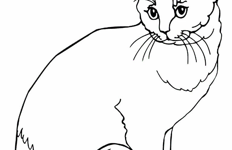 Explorando a Criatividade: Desenhos de Gato para Colorir