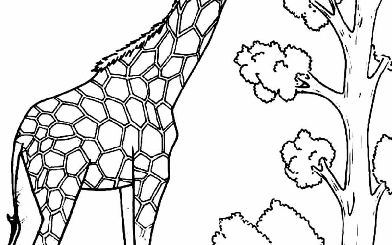 Girafas Encantadoras: Desenhos para Colorir e Criar