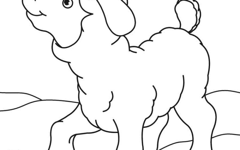 Rebanho Colorido: Desenhos de Ovelhas para Colorir