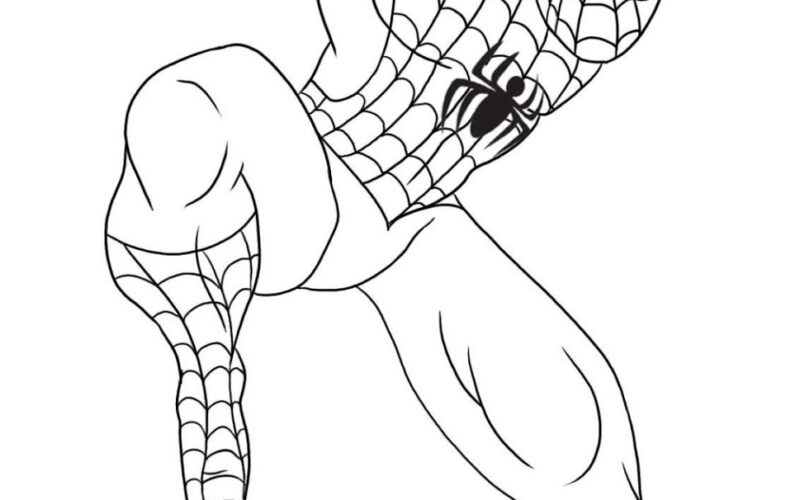 Teias de Criatividade: Páginas para Colorir do Homem-Aranha