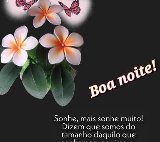 Deseje Uma Noite Encantadora com Nossas Mensagens de Boa Noite Bonito!