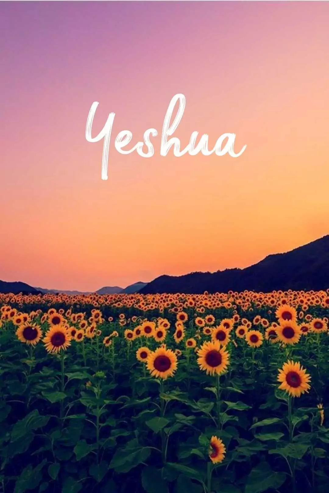Yeshua na Tela: Uma Jornada Espiritual Através do Papel de Parede para Celular