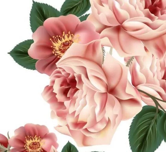 Deslumbre-se com a Beleza Botânica: Imagens Florais para Transformar seus Chats no WhatsApp